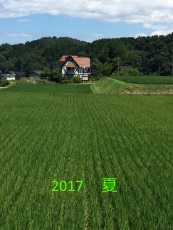 2017 natuyasumi.jpg